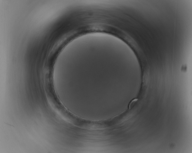 X0000110710722200907022022