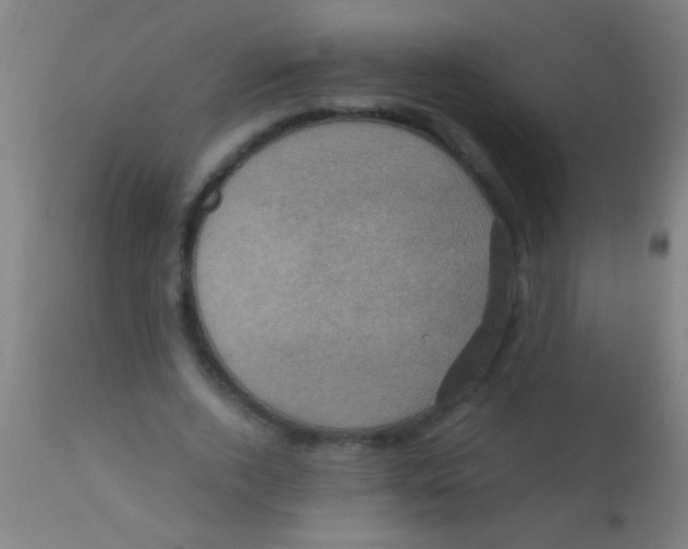 X0000110710728200907022022
