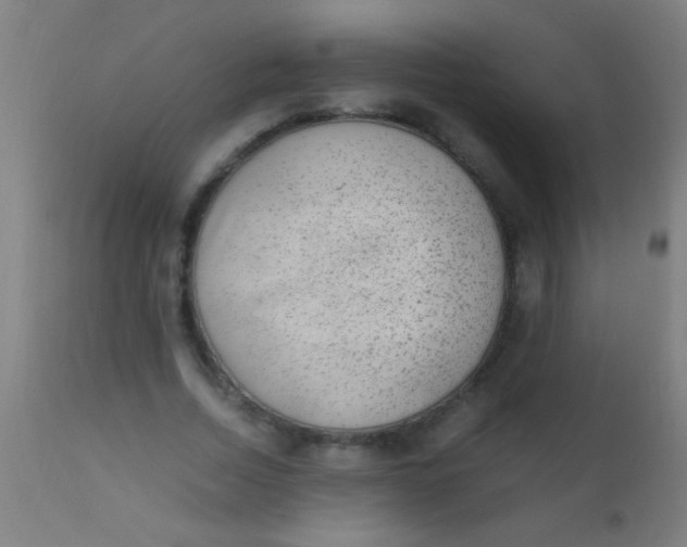 X0000110710730200907022022