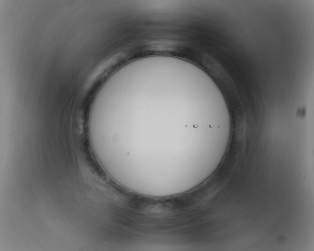 X0000110710731200907022022