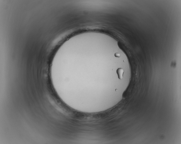 X0000110710732200907022022