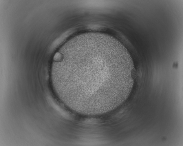 X0000110710734200907022022
