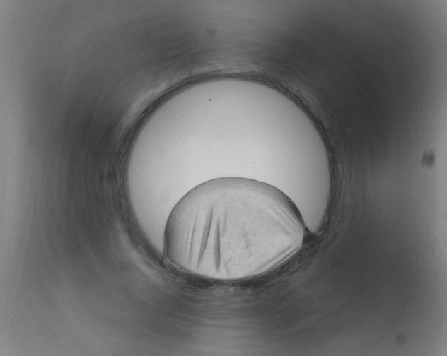 X0000110710736200907022022