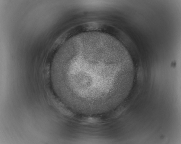 X0000110710737200907022022