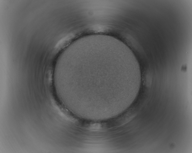 X0000110710740200907022022