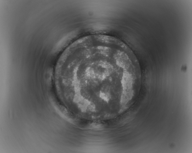 X0000110710742200907022022