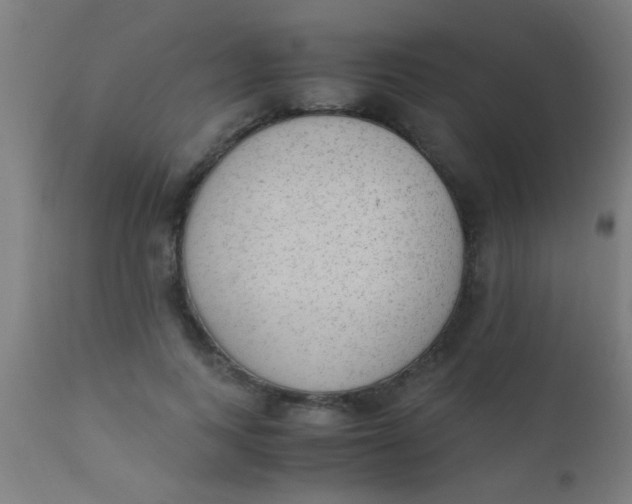 X0000110710743200907022022