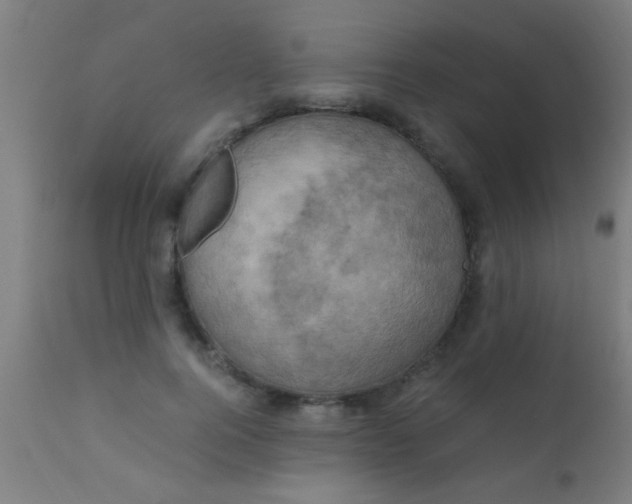 X0000110710744200907022022