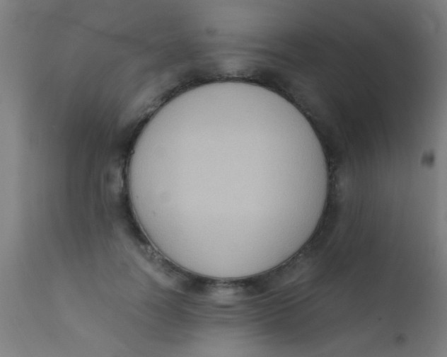 X0000110710746200907022022
