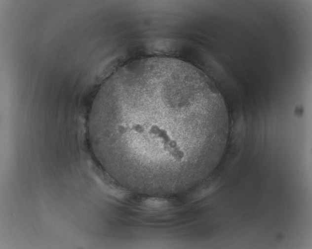 X0000110710749200907022022