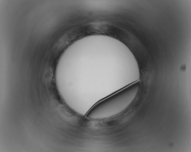 X0000110710752200907022022