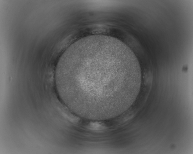 X0000110710753200907022022