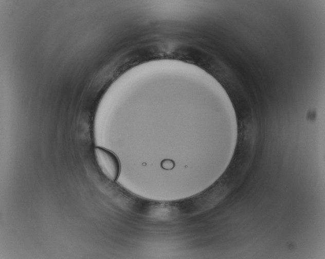 X0000110710754200907022022