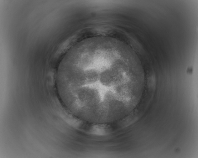 X0000110710757200907022022