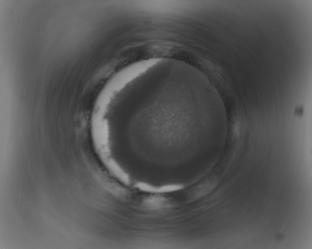 X0000110710759200907022022