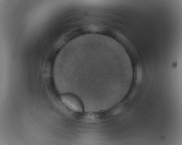 X0000110710760200907022022
