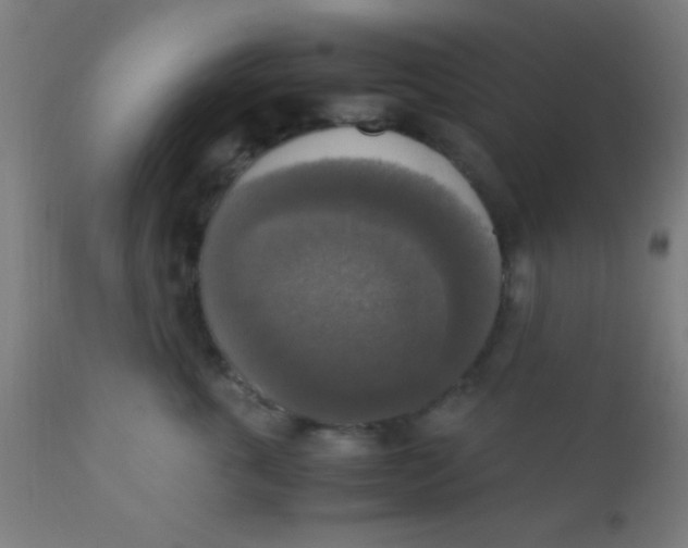 X0000110710763200907022022