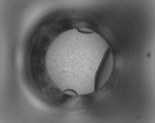 X0000110710764200907022022