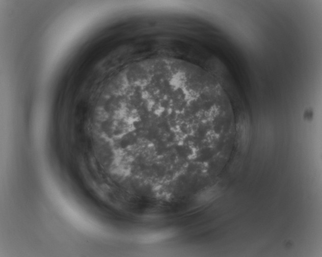 X0000110710765200907022022