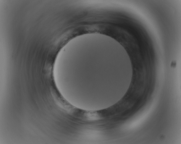 X0000110710767200907022022