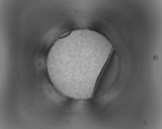 X0000110710768200907022023