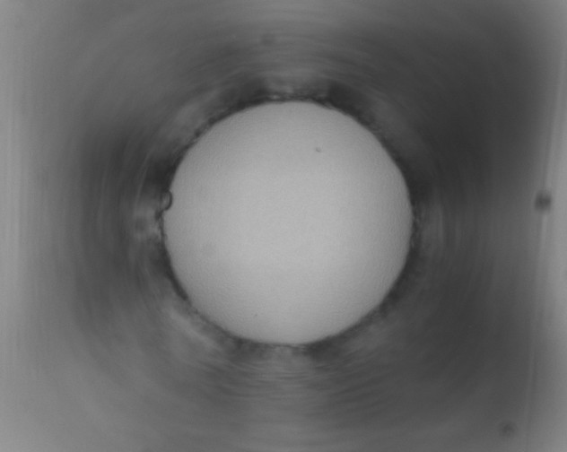 X0000110710770200907022022