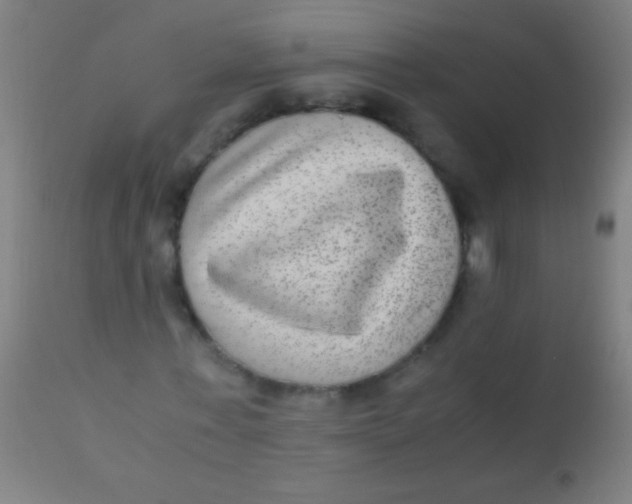 X0000110710771200907022022