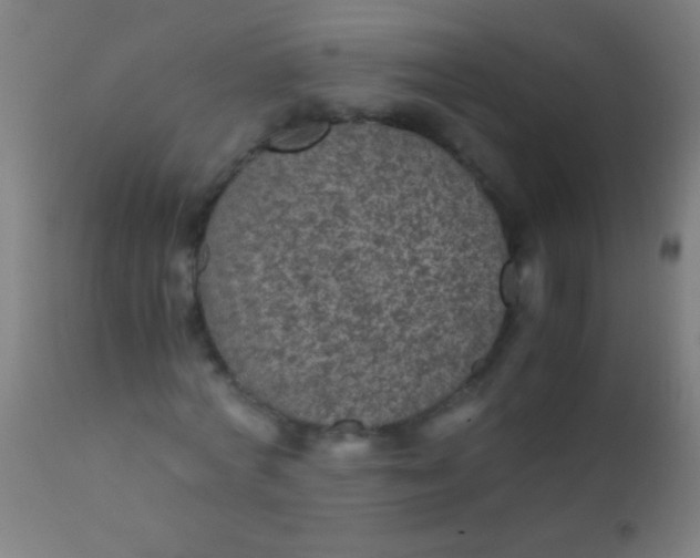 X0000110710772200907022022