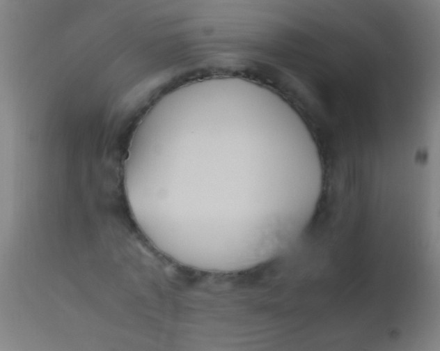X0000110710773200907022022