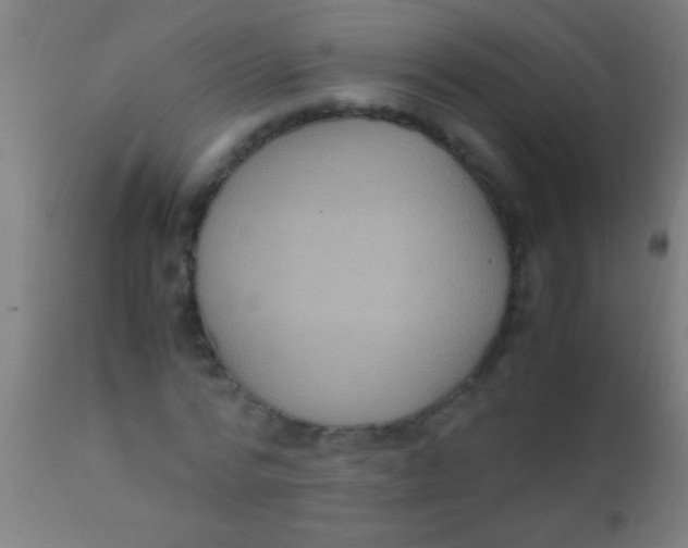 X0000110710776200907022022