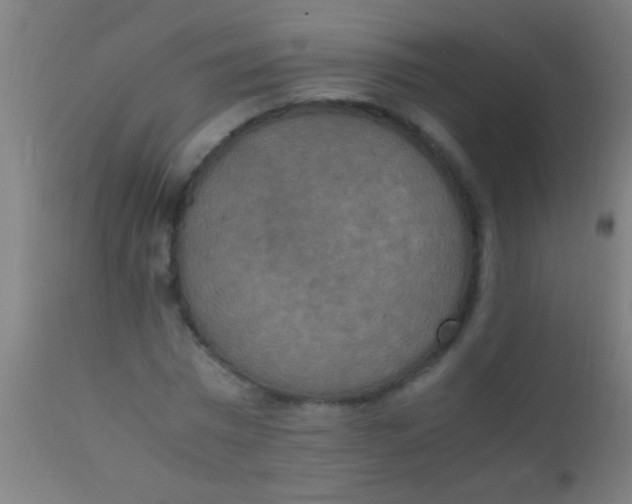 X0000110710777200907022022