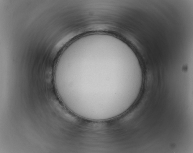 X0000110710778200907022022