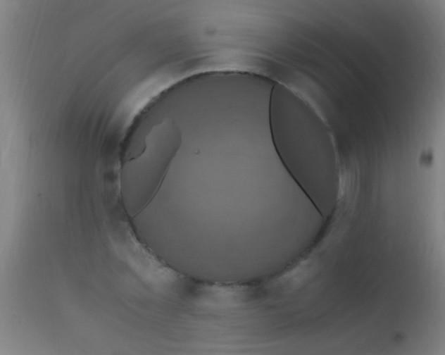 X0000110710781200907022022
