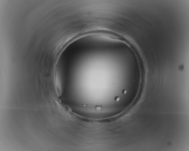 X0000110710785200907022022