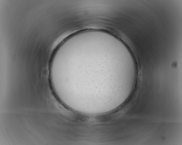X0000110710787200907022022