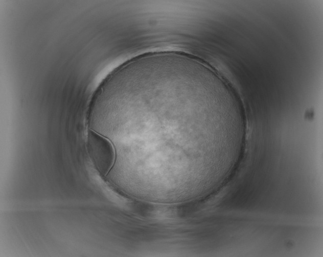 X0000110710789200907022022