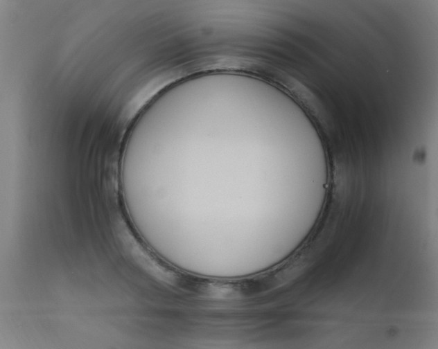X0000110710794200907022022