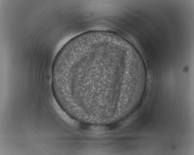 X0000110710795200907022021
