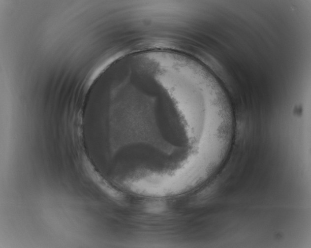 X0000110710798200907022021