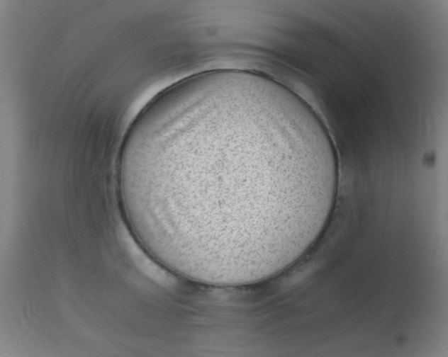 X0000110710803200907022021