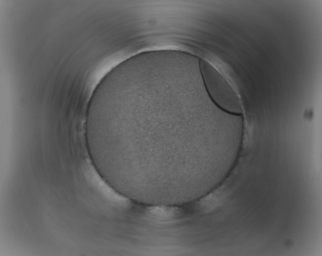X0000110710805200907022021