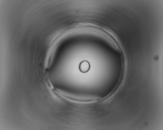 X0000110710809200907022021