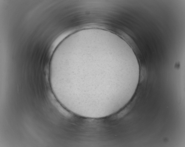 X0000110710812200907022021