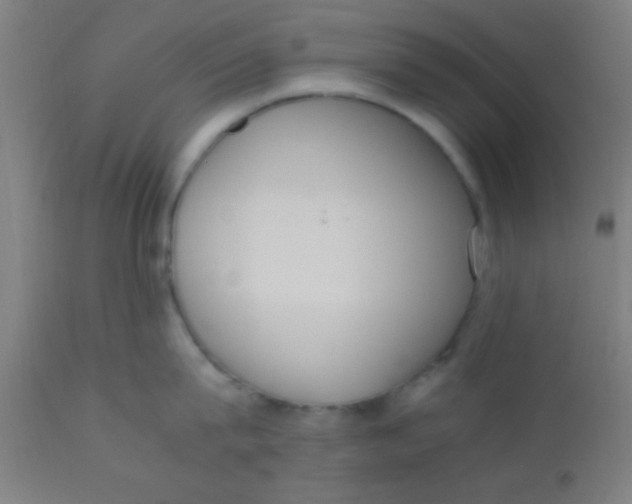 X0000110710815200907022021