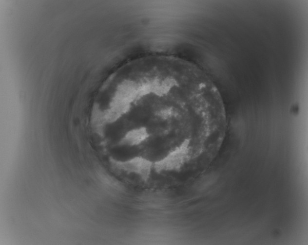 X0000110710817200907022020