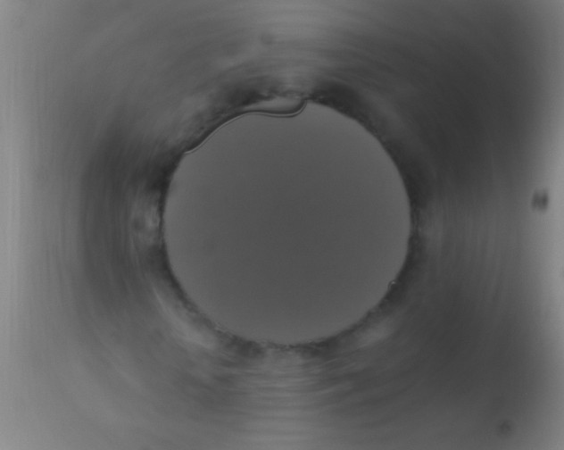 X0000110710818200907022020