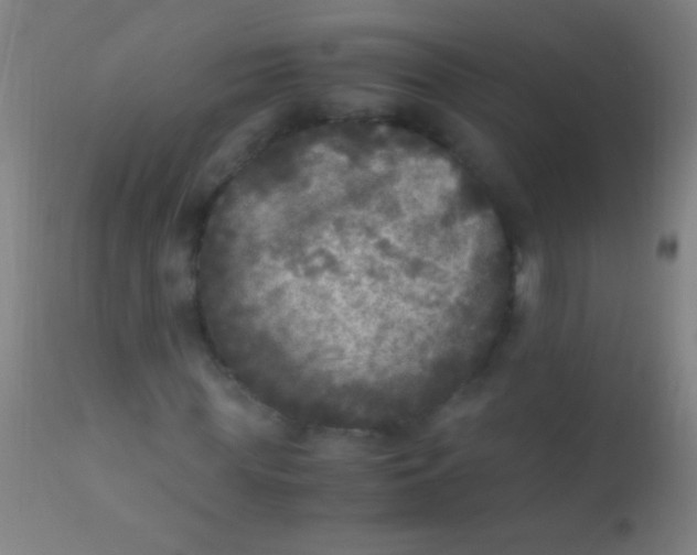 X0000110710819200907022020