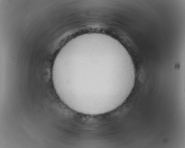 X0000110710821200907022020