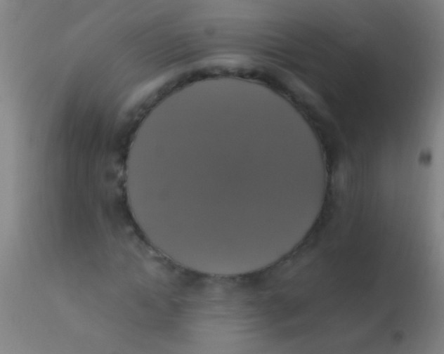 X0000110710822200907022020