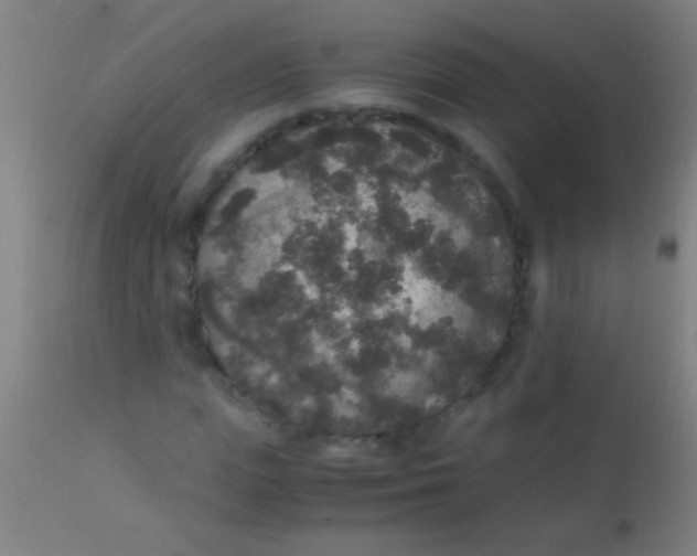 X0000110710823200907022020